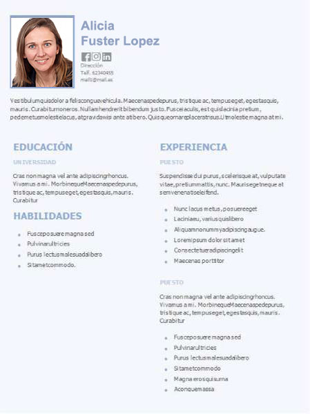 plantilla currículum consultor financiero